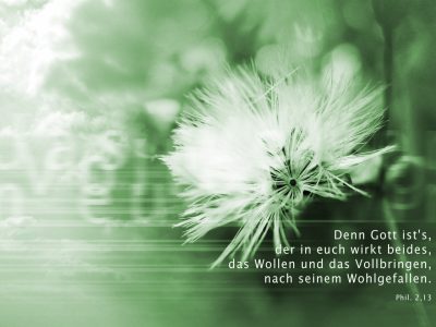 Jesuspower (184).jpg