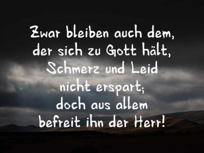 IMG_20250425_113624.jpg