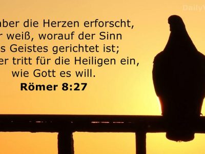 romer-8-27-2.jpg