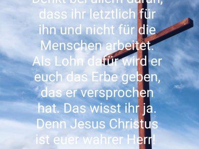 1615438455816_verse_image.jpg