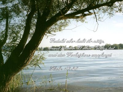 Jesuspower (120).jpg