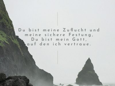 1647396901086.png