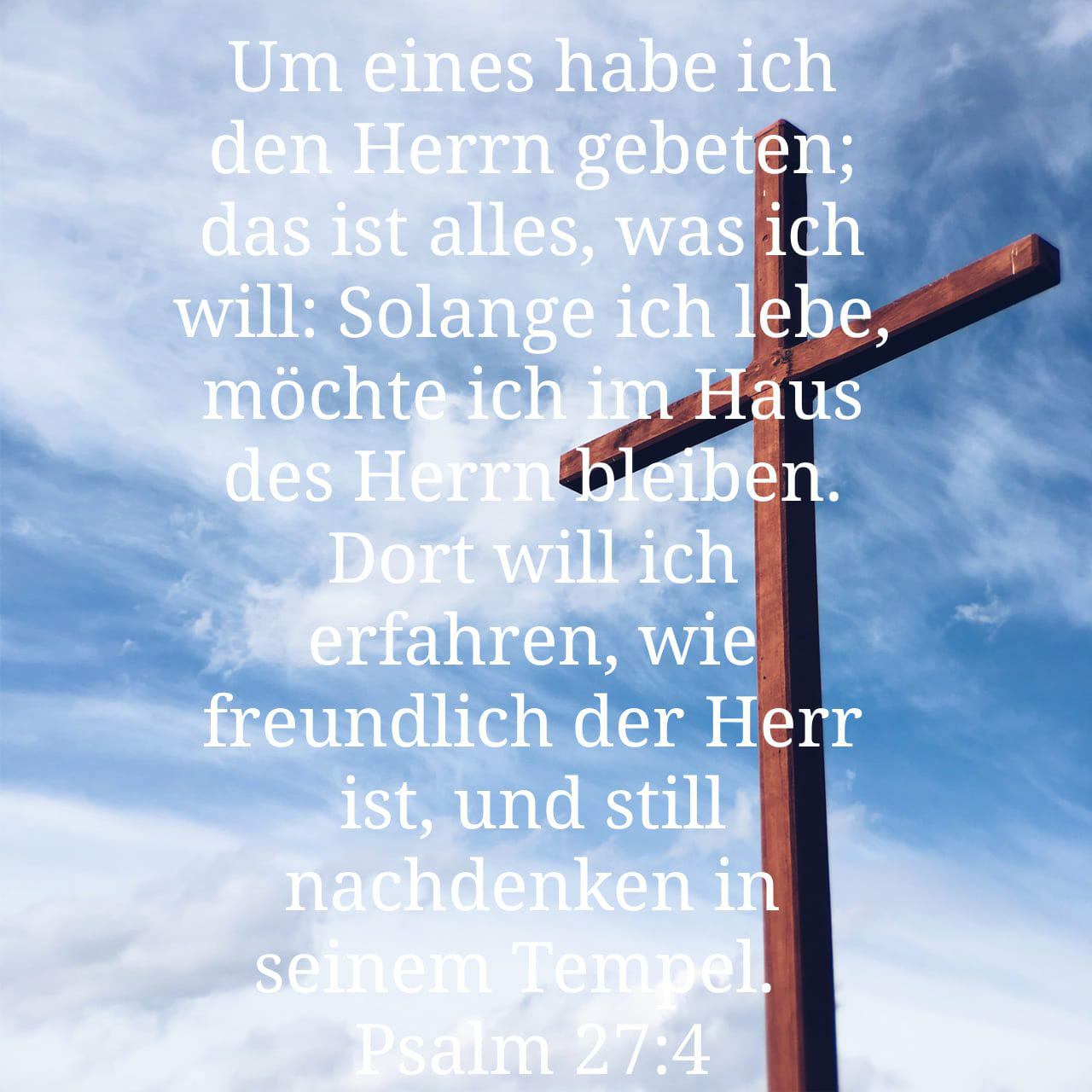 1600292884028.png