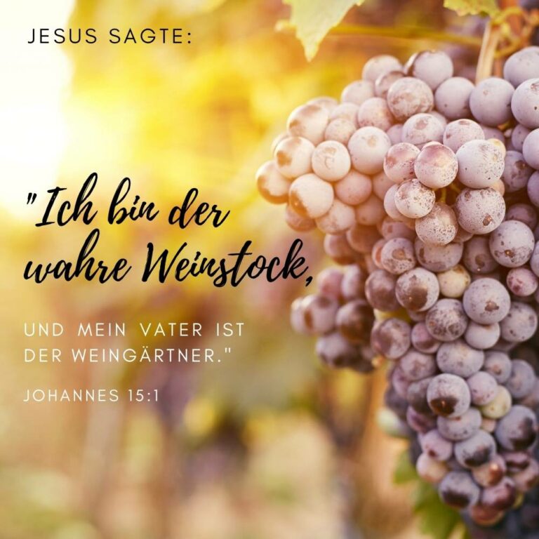 Johannes-151-768x768.jpg